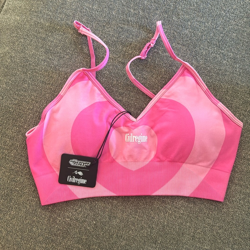 NWT! Civilregime The Powerpuff Girls Pink Sports Bra Women’s Size Large